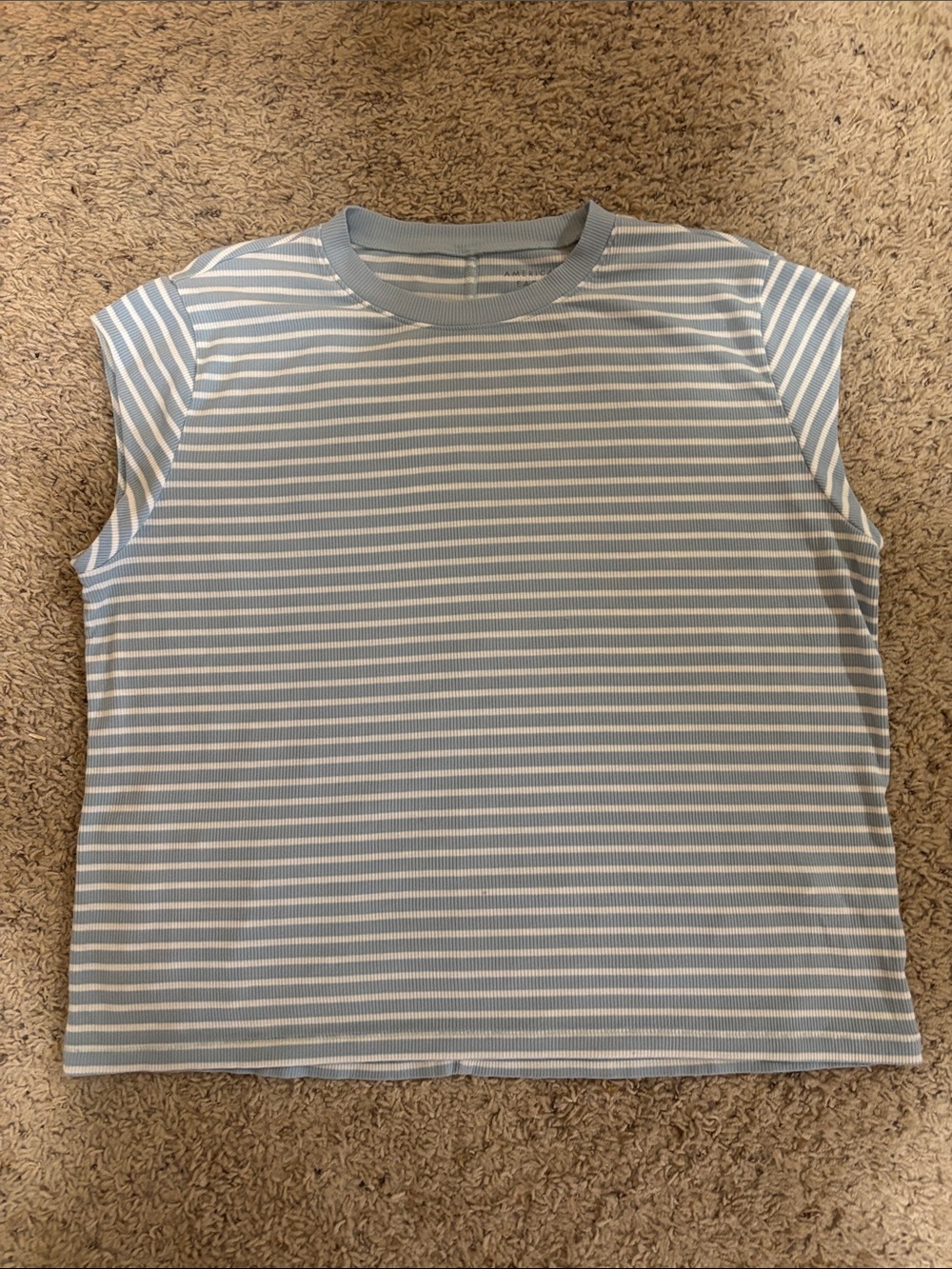 American Eagle Outfitters Sleeveless Striped Tank in Light Blue and White sleek